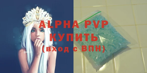 стаф Каменск-Шахтинский