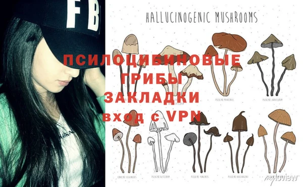 MDMA Premium VHQ Каменка