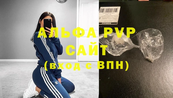 стаф Каменск-Шахтинский