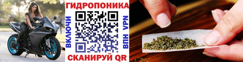 Конопля MAZAR Енисейск
