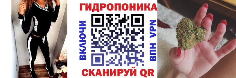 Купить где  Енисейск  Каннабис план 
